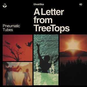 A Letter from TreeTops