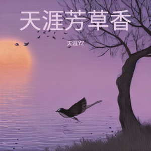 雪花谣封面
