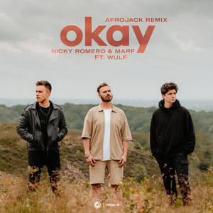 Okay (Extended Afrojack Remix)