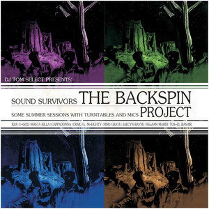 The Backspin Project - Some Summer Sessions with Turntables and Mics