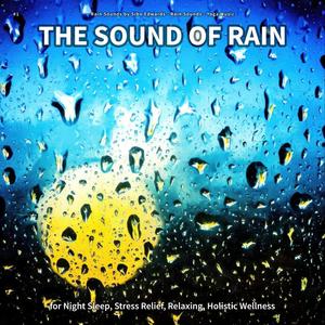 #1 The Sound of Rain for Night Sleep, Stress Relief, Relaxing, Holistic Wellness