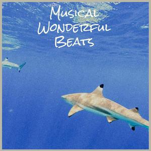 Musical Wonderful Beats