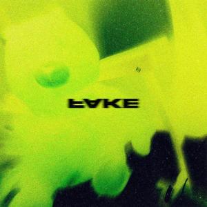 FAKE