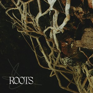 Roots