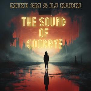 THE SOUND OF GOODBYE (2024 RMX)