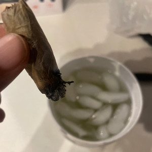 Give A Fu*k (Freestyle|Explicit)