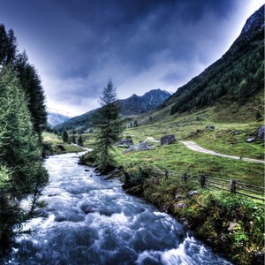 Life in the Streams