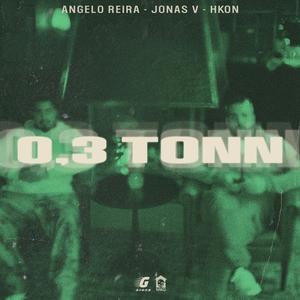 0,3 TONN