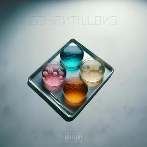 échantillon R (Explicit)