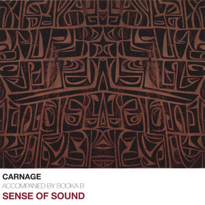 Sense Of Sound