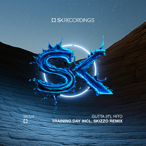 Training Day (Skizzo Remix)