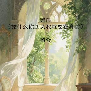 善后 (凭什么你回头我就要在身后)-芮兮