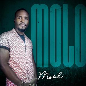 Molo