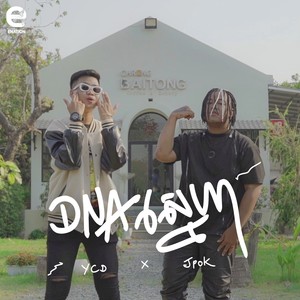 DNA ស្នេហា