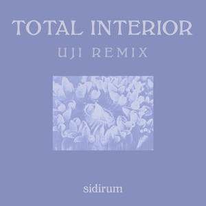 Total Interior (Uji Remix)