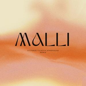 Malli (Afrohouse Remix)