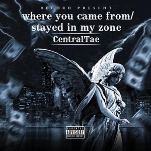 Where You Came From/ Stayed In My Zone (Explicit)