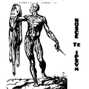 Entre la nostalgia de lo que fuimos y la ilusión de lo que perseguimos (Explicit)