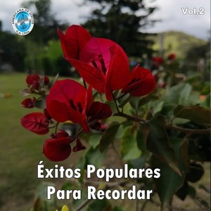 Éxitos Populares Para Recordar, Vol. 2