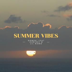 Summer Vibes (feat. Chrissy B & Lil Nawo) [Explicit]