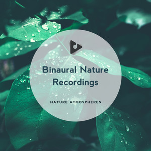 Binaural Nature Recordings