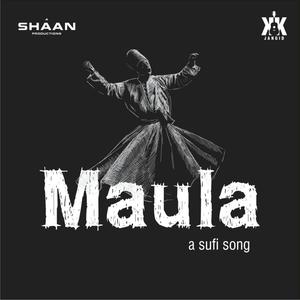 Maula(feat. Jameel Ahmed & Pankaj Sen)