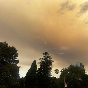 exposing them (Explicit)