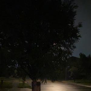 Dark Night (feat. Steezio) (Explicit)