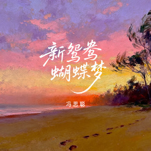 新鸳鸯蝴蝶梦 (新编版)