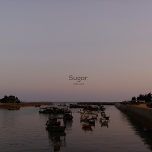 Sugar