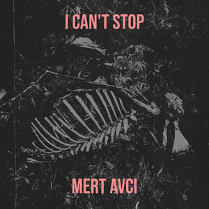I Can't Stop (Explicit)