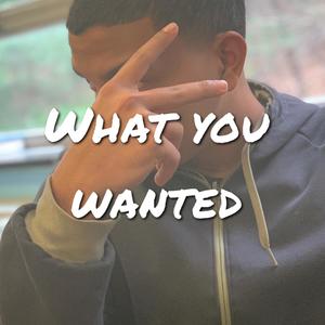 What You Wanted (Explicit)