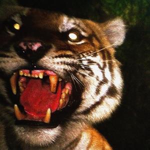 Earn Yuh Stripes (Explicit)