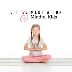 Little Meditation & Mindful Kids (Yogis in Preschool, Practice with Nature, Childrens of Zen, Spirit