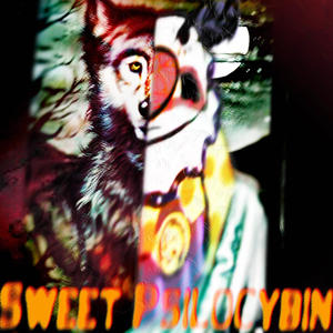 DRAGON OF THE DARKNESS FLAME (feat. SweetPsilocybin)