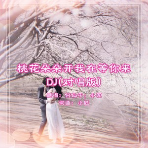 桃花朵朵开我在等你来DJ (对唱版)封面