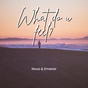 What do u feel? (feat. Emexar) [Explicit]