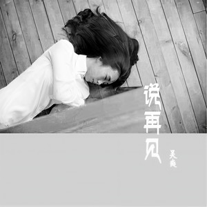 吴爽 - 说再见 (伴奏)