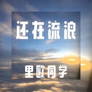 还在流浪封面
