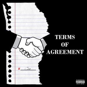 Terms Of Argeement (Explicit)