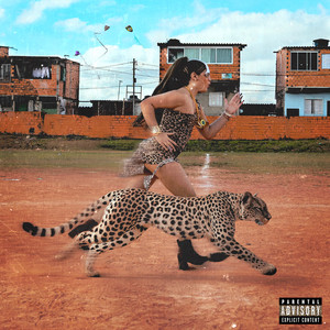 FUNK DE LADRONA (Explicit)