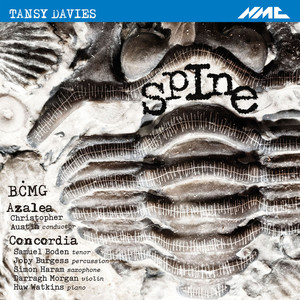 Saxophone Concerto 