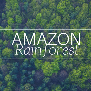 2018 Amazon Rainforest - The Bery Best in Relaxing Music with Nature Sounds (Rain, Water, Wind, Forest Sounds)