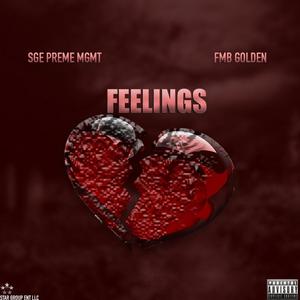 Feelings (feat. FBM Golden) [Explicit]