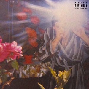 I Don't Love You (Explicit)
