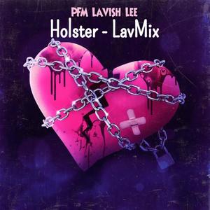 Holster LavMix