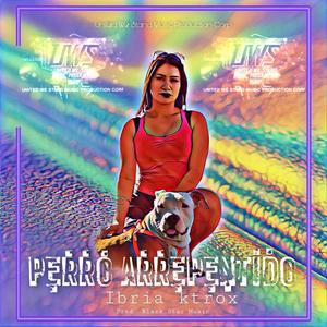 Perro Arrepentido (Radio Edit)