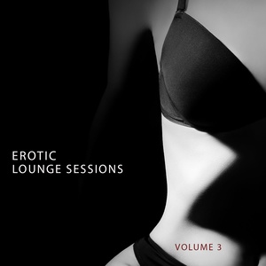 Erotic Lounge Session, Vol. 3 (Finest In Deep House & Electronic Dance Music)