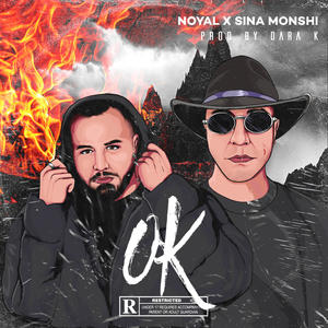 Noyal_ - Ok(feat. sina monshi) (Explicit)