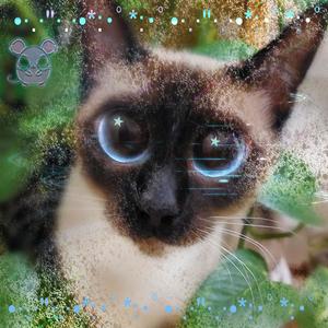 Saturnalia (feat. DJ RAT)